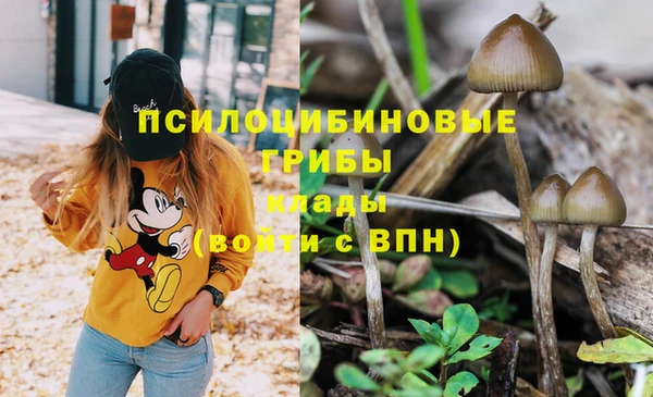 винт Абаза