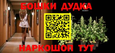 ГАЛЛЮЦИНОГЕННЫЕ ГРИБЫ Обь