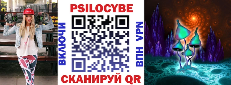 как найти Шарыпово Псилоцибиновые грибы Psilocybine cubensis