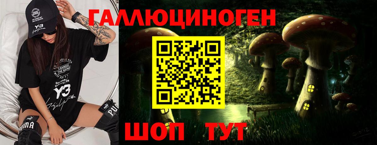Шарыпово  Псилоцибиновые грибы Magic Shrooms  Вход с VPN 